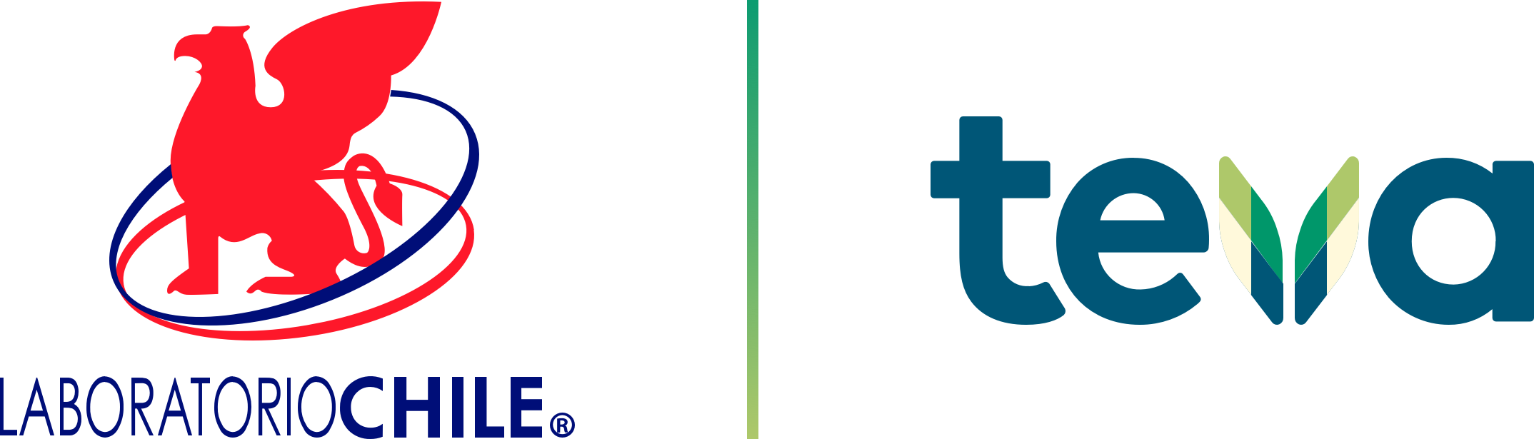 Tevas tv