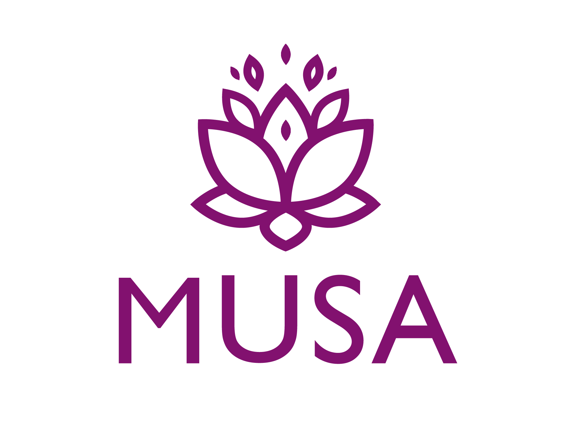 Programa Musa